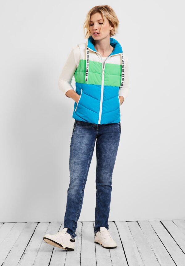 Vesta multicolor Cecil